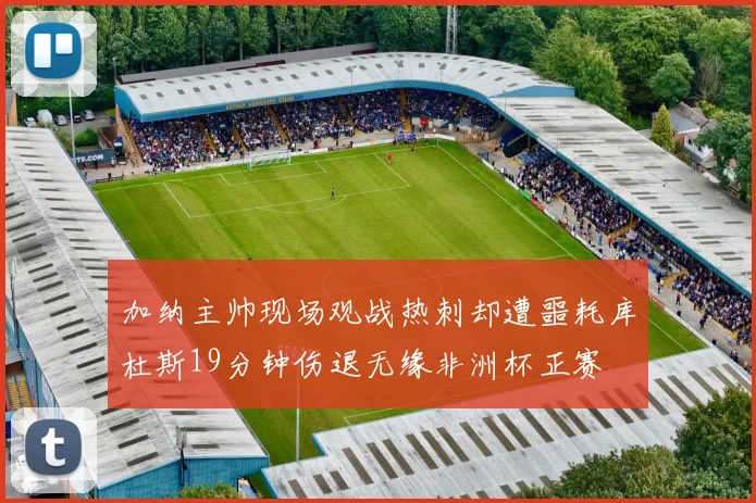 加纳主帅现场观战热刺却遭噩耗库杜斯19分钟伤退无缘非洲杯正赛